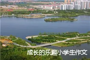 成长的乐趣小学生作文(精选5篇)