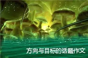 方向与目标的话题作文(精选6篇)