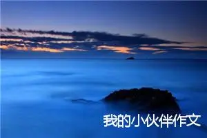 我的小伙伴作文