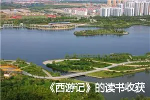 《西游记》的读书收获高一作文