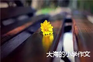 大海的小学作文
