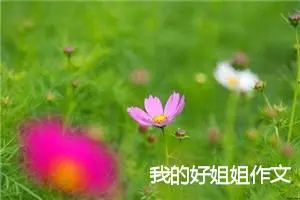 我的好姐姐作文