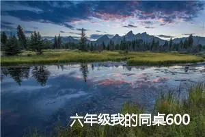 六年级我的同桌600字