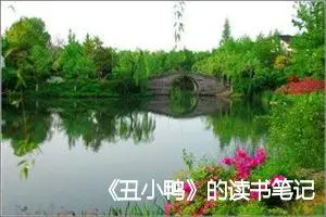 《丑小鸭》的读书笔记与启示四年级作文