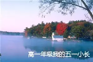 高一年级我的五一小长假作文(精选5篇)
