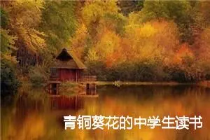 青铜葵花的中学生读书笔记