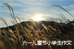 六一儿童节小学生作文(精选5篇)