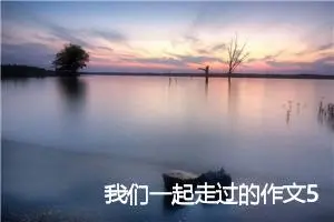 我们一起走过的作文500字