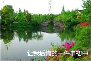 让我后悔的一件事初中作文