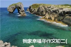 我家幸福年作文初二(精选5篇)