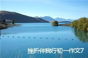 挫折伴我行初一作文700字左右(精选5篇)