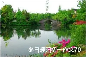 冬日暖阳初一作文700字(精选5篇)