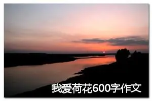 我爱荷花600字作文(精选6篇)