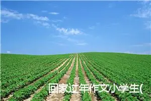 回家过年作文小学生(精选5篇)