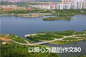 以细心为题的作文800字