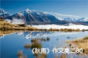 《秋雨》作文高二800字(精选5篇)