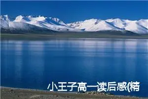 小王子高一读后感(精选5篇)