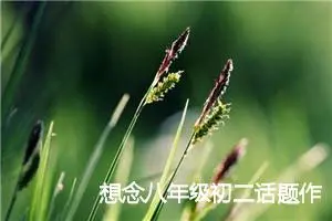 想念八年级初二话题作文(精选5篇)