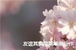 友谊其实很简单满分作文(精选5篇)