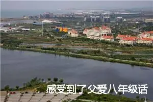 感受到了父爱八年级话题作文(精选5篇)