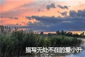 描写无处不在的爱小升初作文(精选5篇)