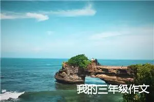 我的三年级作文