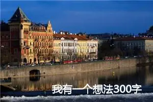 我有一个想法300字作文(精选10篇)