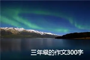 三年级的作文300字