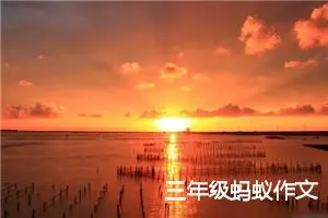 三年级蚂蚁作文