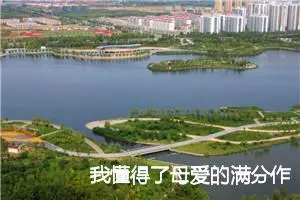 我懂得了母爱的满分作文(精选10篇)