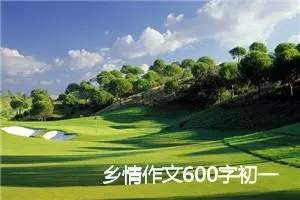 乡情作文600字初一结尾(精选5篇)