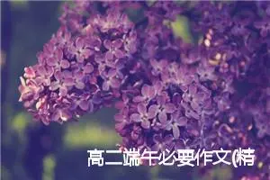 高二端午必要作文(精选10篇)