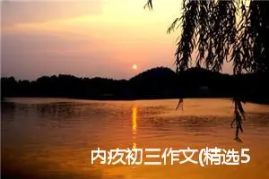 内疚初三作文(精选5篇)