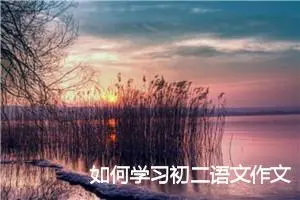 如何学习初二语文作文(精选5篇)