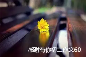 感谢有你初二作文600字(精选5篇)