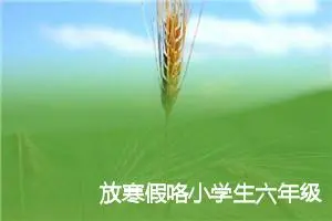 放寒假咯小学生六年级作文(精选5篇)