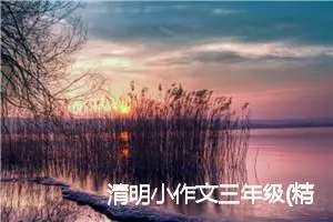 清明小作文三年级(精选5篇)