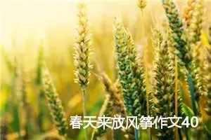 春天来放风筝作文400字(精选6篇)