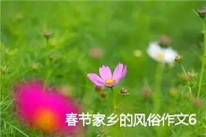 春节家乡的风俗作文600字(精选17篇)