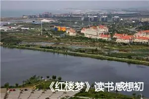 《红楼梦》读书感想初一作文