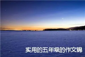 实用的五年级的作文锦集