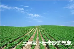 三年级下册奇妙的想象作文300字(精选12篇)