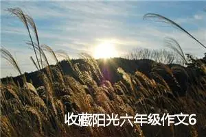 收藏阳光六年级作文600字以上(精选5篇)
