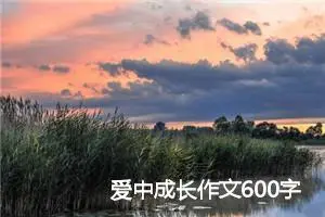 爱中成长作文600字通用(精选10篇)