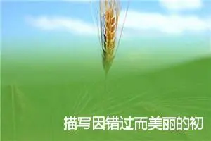 描写因错过而美丽的初中作文(精选5篇)