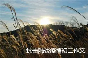 抗击肺炎疫情初二作文500字(精选4篇)