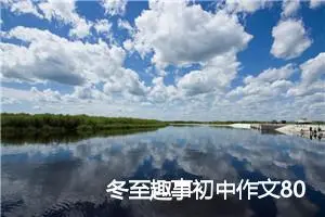 冬至趣事初中作文800字(精选5篇)