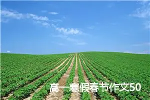 高一寒假春节作文500字(精选5篇)