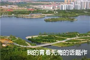 我的青春无悔的话题作文(精选5篇)