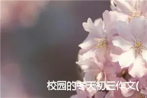 校园的冬天初三作文(精选5篇)